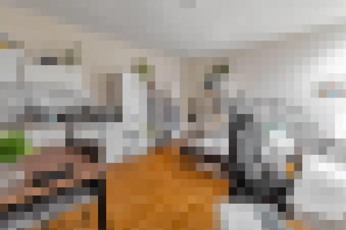 Glacisweg 6 Maastricht thumbnail 8