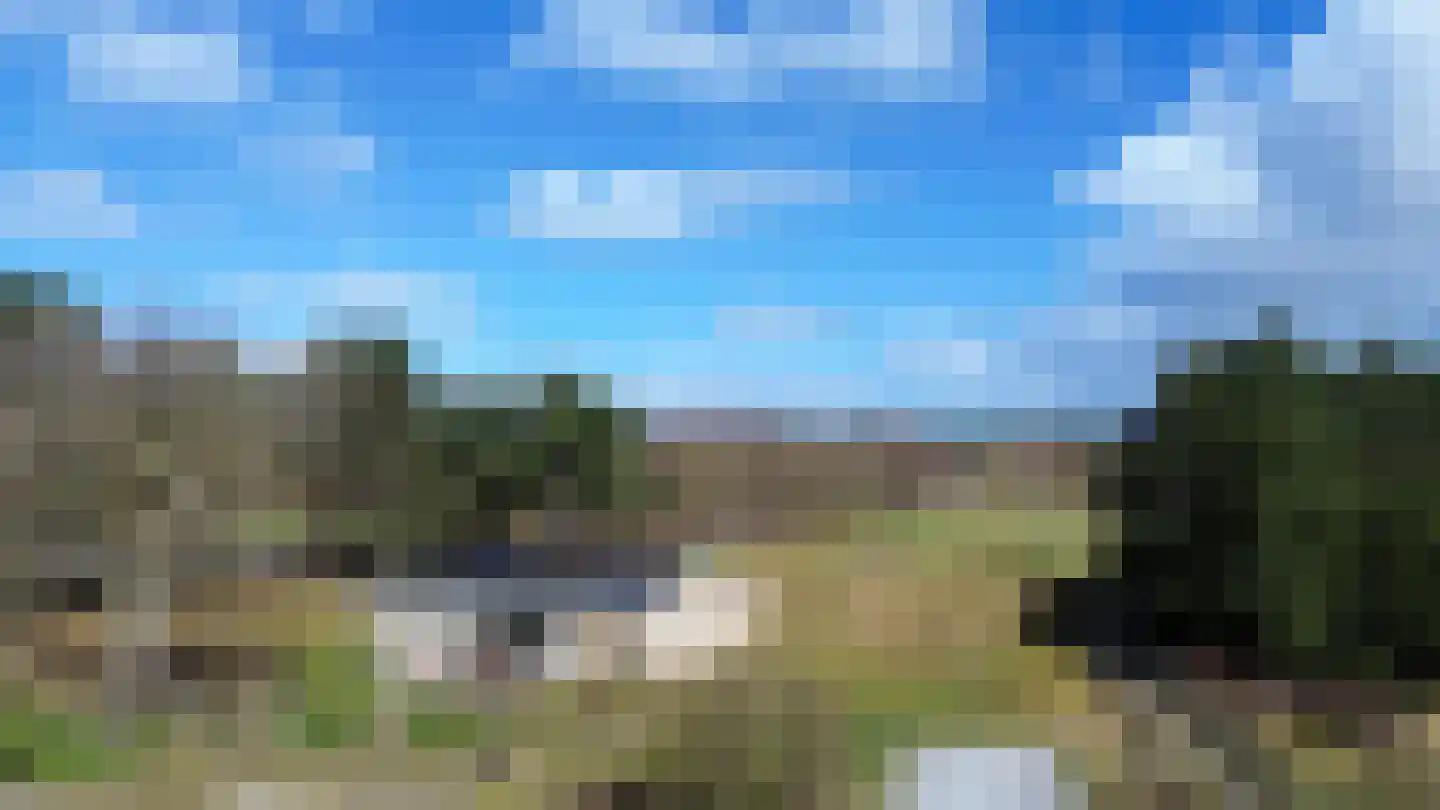 Gladde Duuntjes 27 Buren
