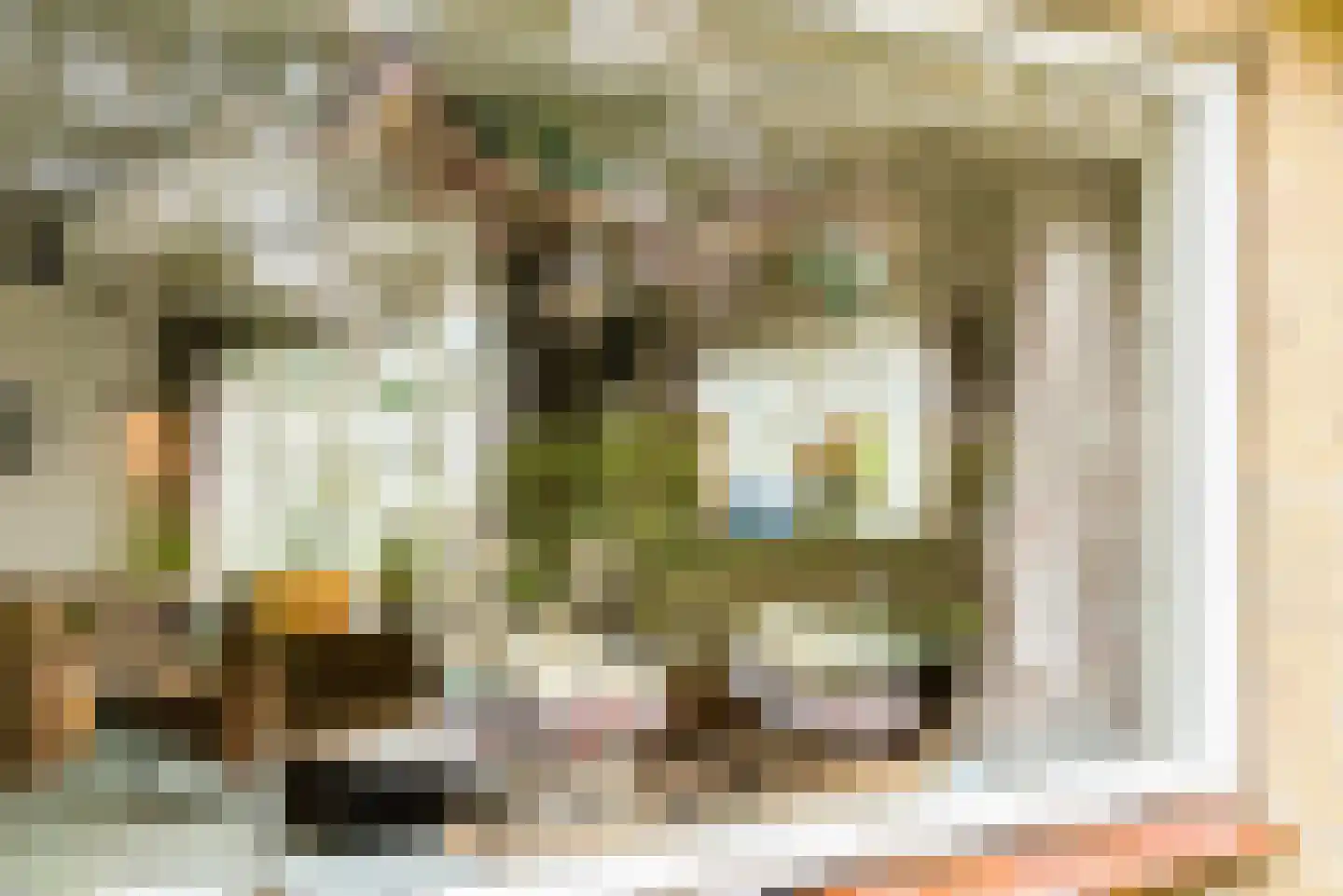 Gladde Duuntjes 27 Buren thumbnail 20