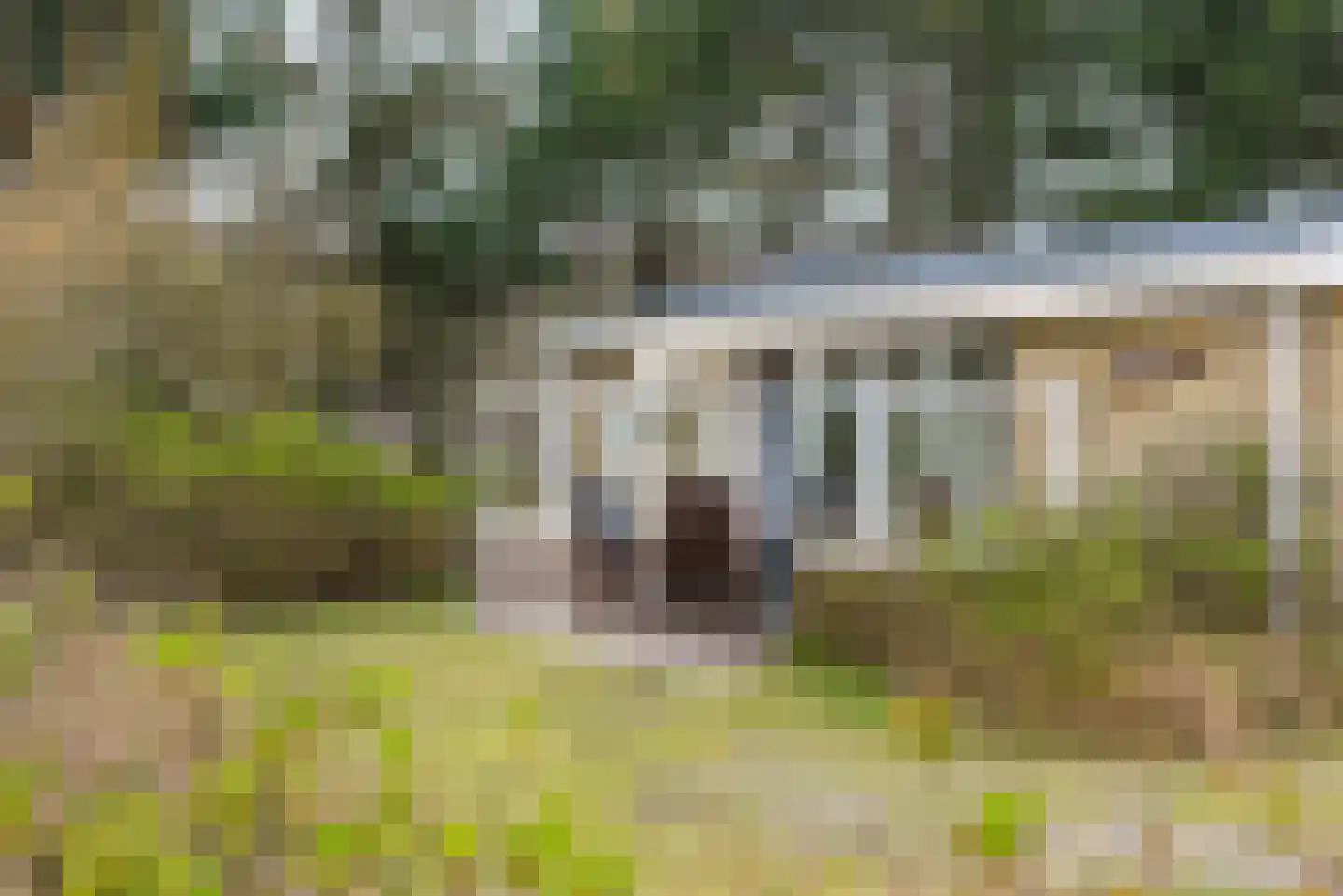 Gladde Duuntjes 27 Buren thumbnail 21