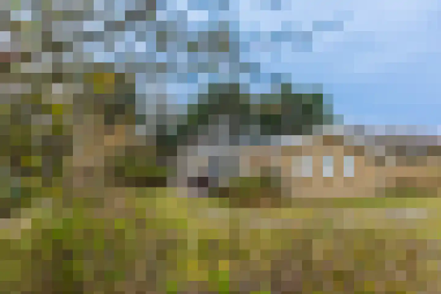 Gladde Duuntjes 27 Buren thumbnail 22