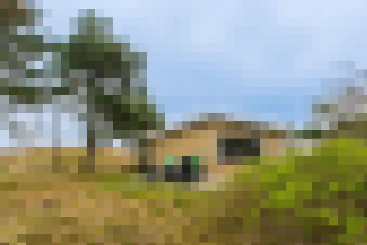 Gladde Duuntjes 27 Buren thumbnail 23