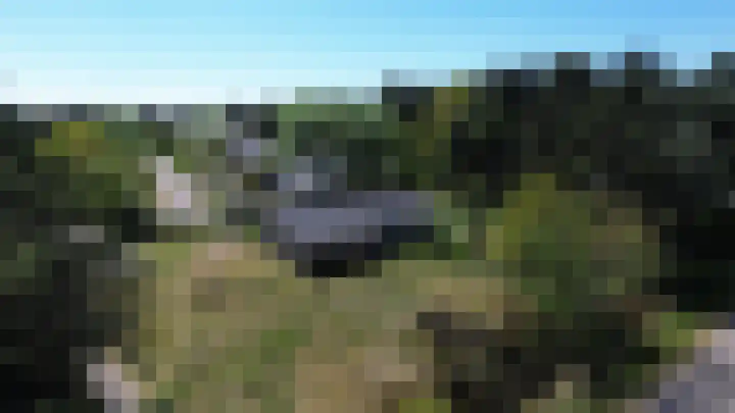 Gladde Duuntjes 27 Buren thumbnail 24