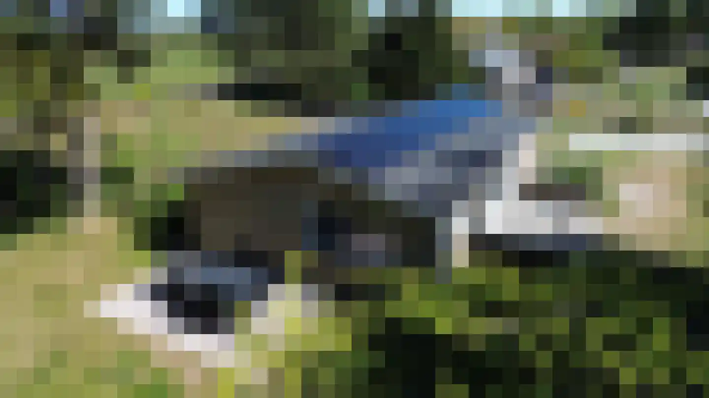 Gladde Duuntjes 27 Buren thumbnail 25