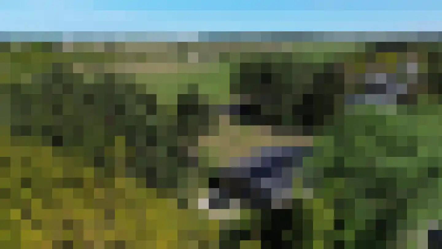 Gladde Duuntjes 27 Buren thumbnail 26