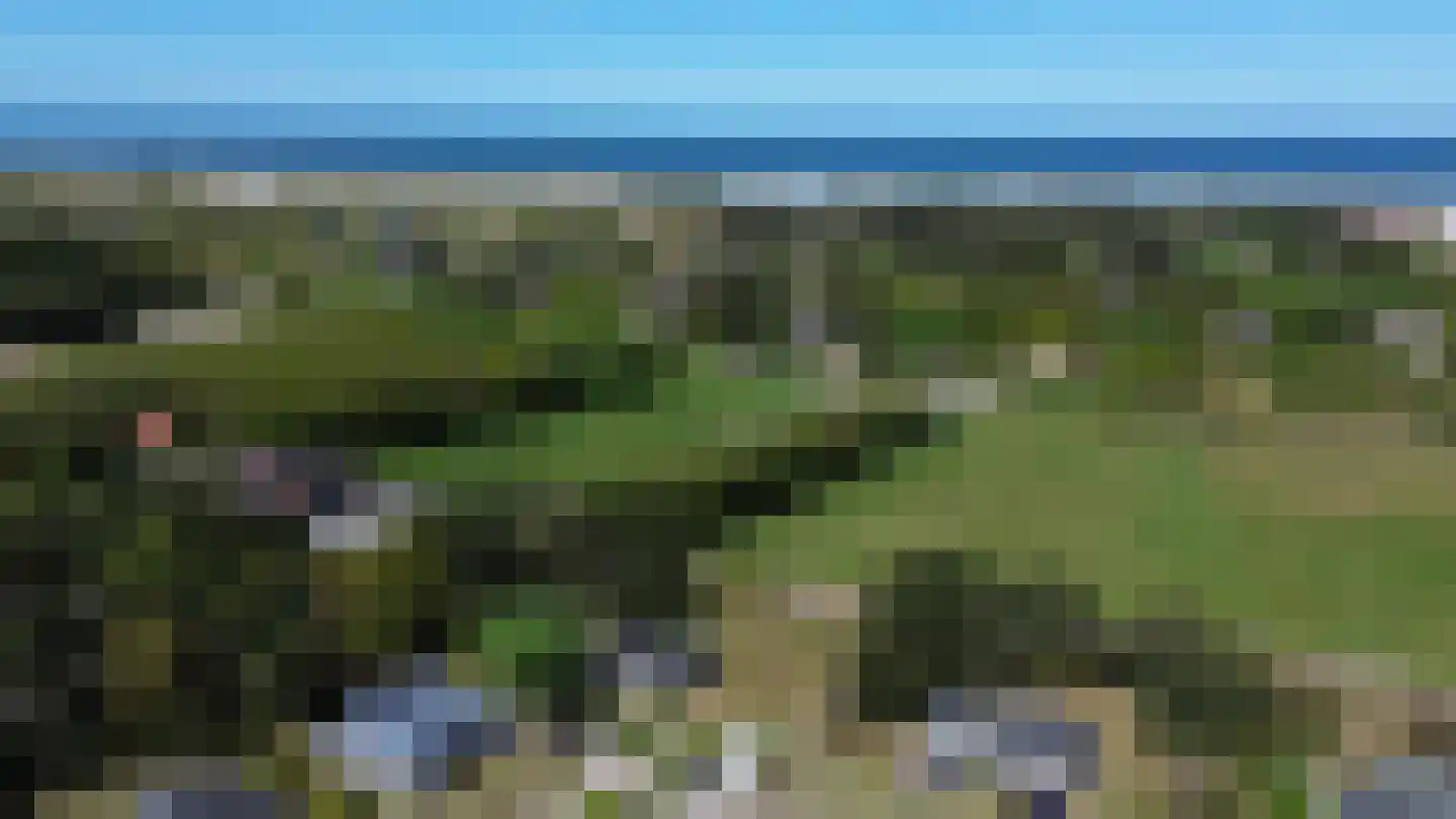 Gladde Duuntjes 27 Buren thumbnail 27
