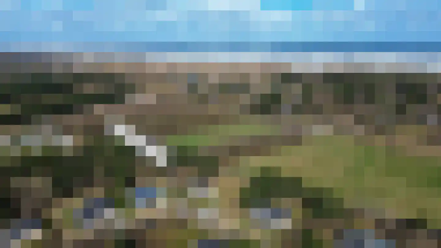 Gladde Duuntjes 27 Buren thumbnail 28