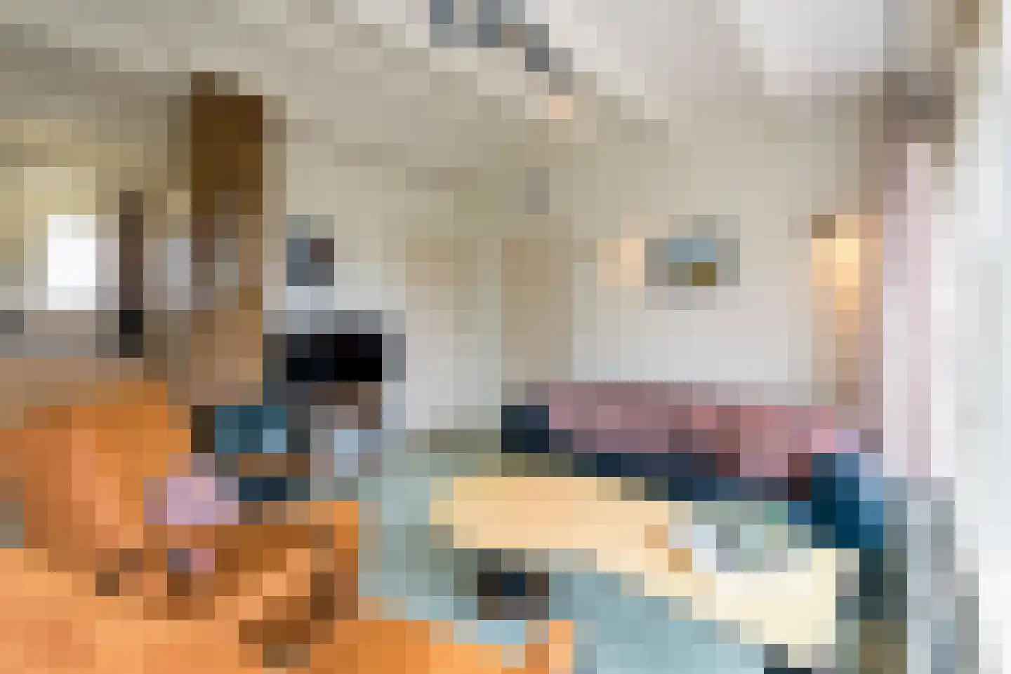 Gladde Duuntjes 27 Buren thumbnail 4
