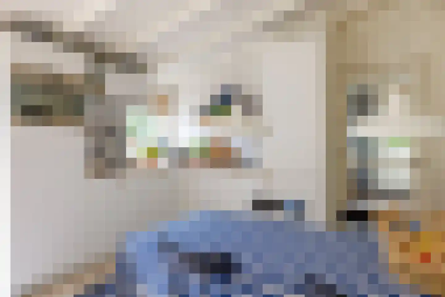 Gladde Duuntjes 37 Buren thumbnail 11
