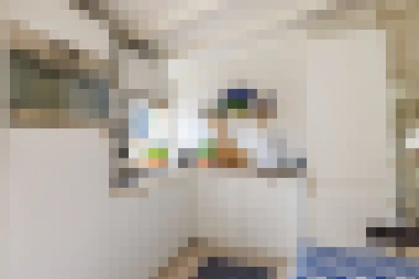 Gladde Duuntjes 37 Buren thumbnail 13