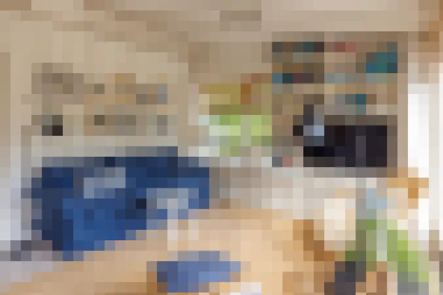 Gladde Duuntjes 37 Buren thumbnail 17