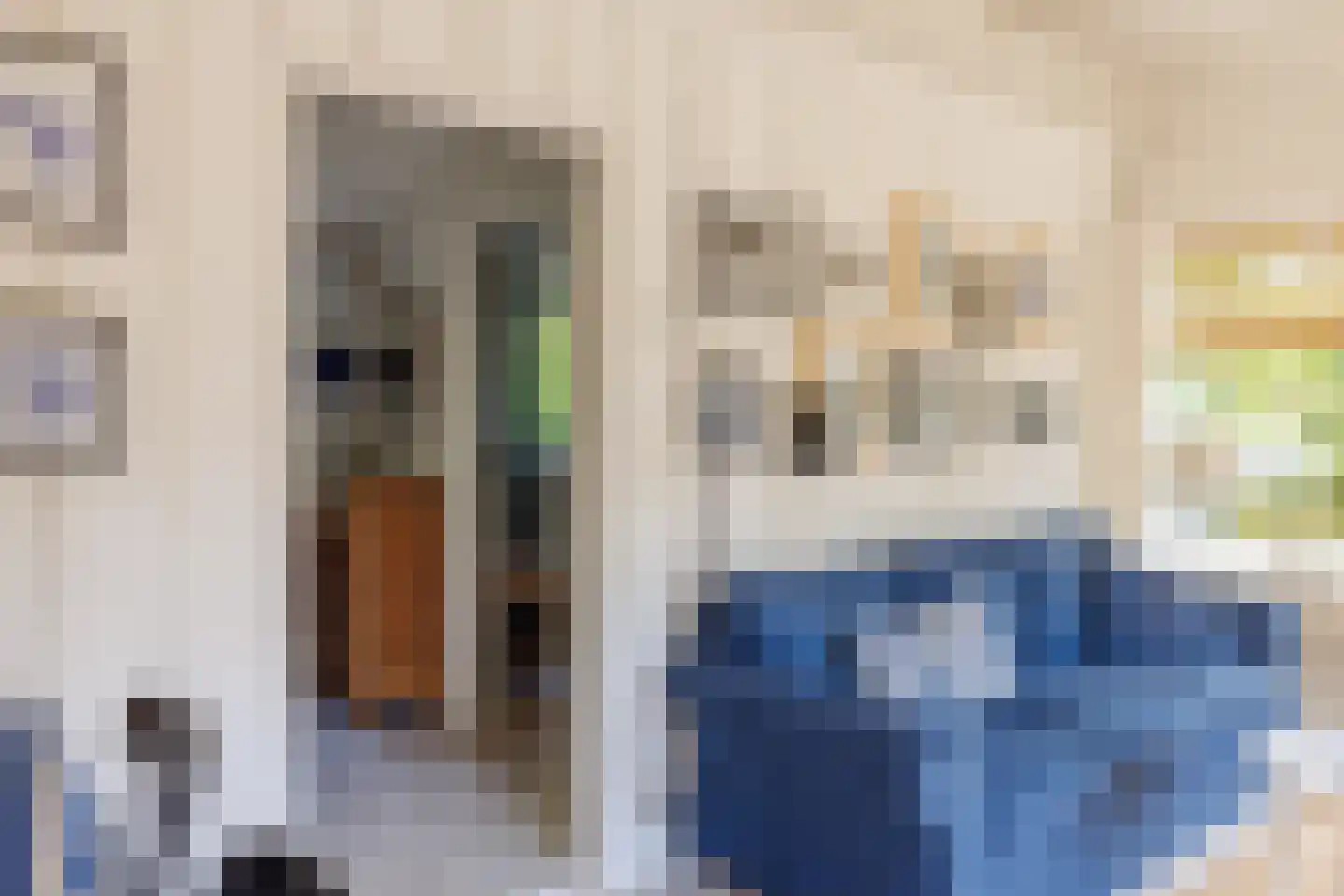 Gladde Duuntjes 37 Buren thumbnail 18