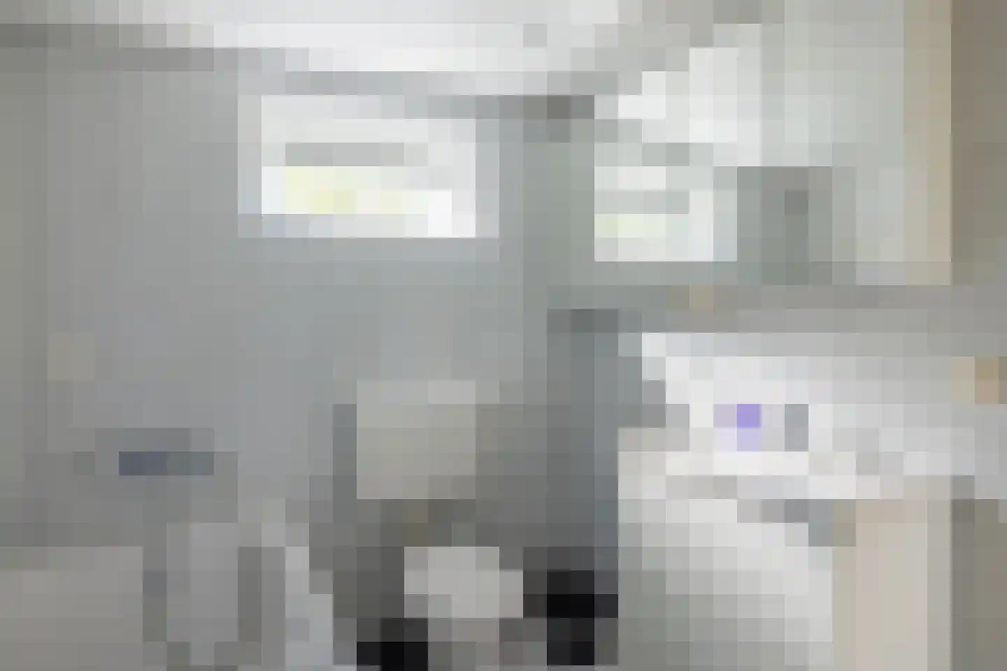Gladde Duuntjes 37 Buren thumbnail 26