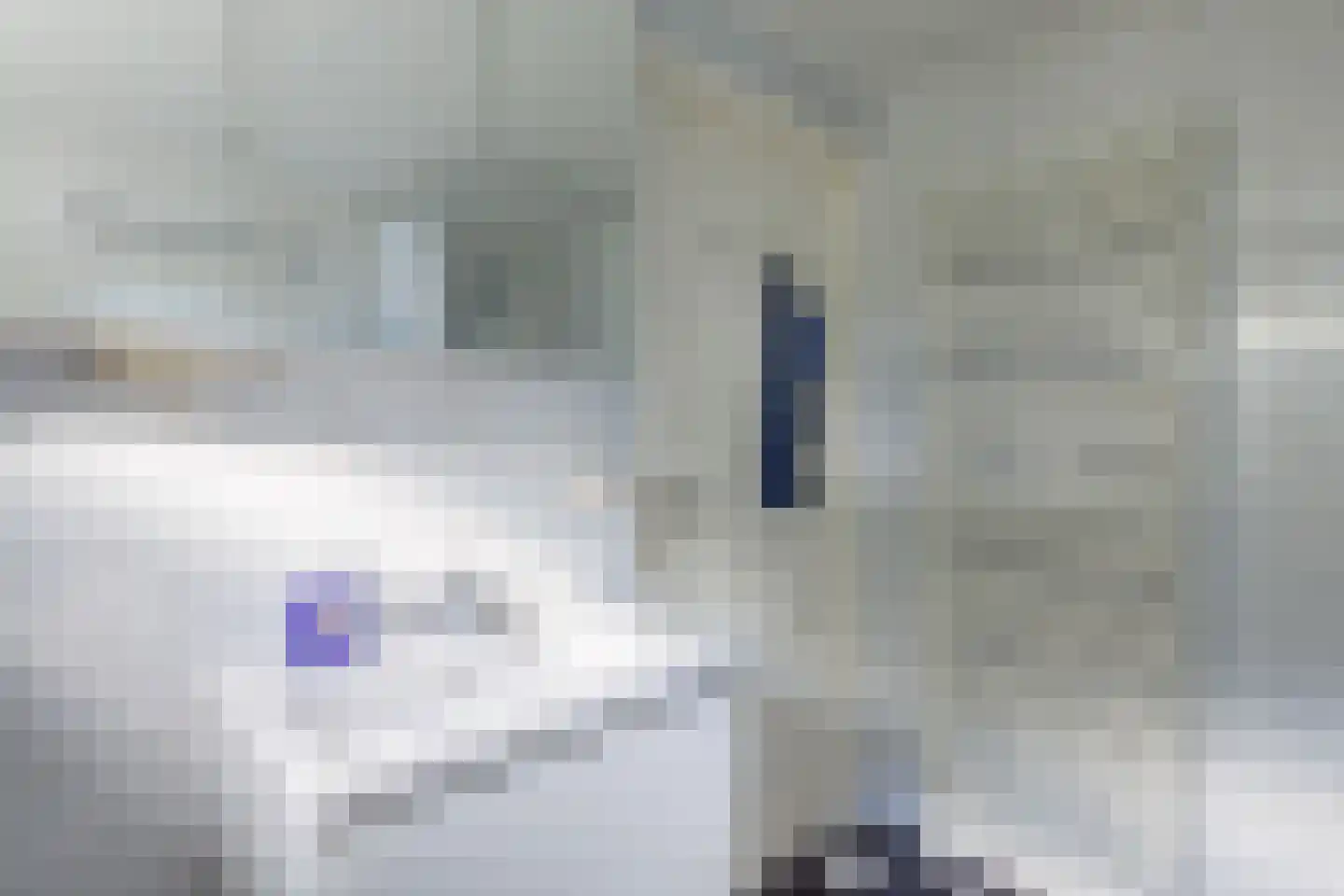 Gladde Duuntjes 37 Buren thumbnail 27