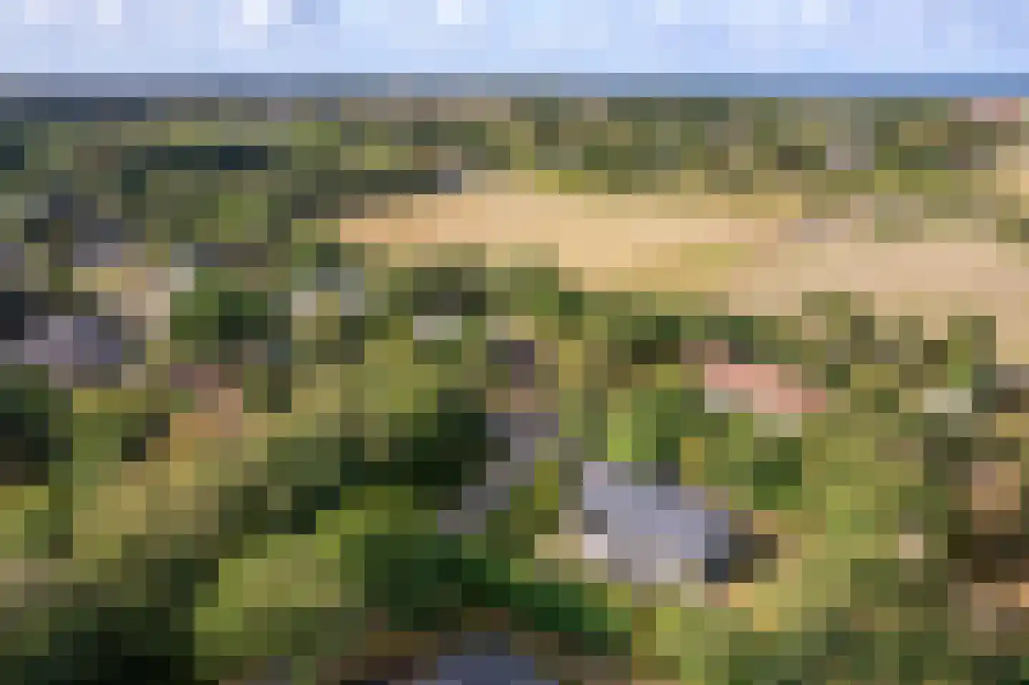 Gladde Duuntjes 37 Buren thumbnail 31