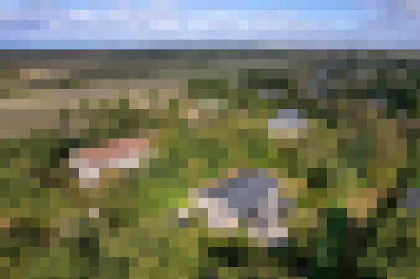Gladde Duuntjes 37 Buren thumbnail 32