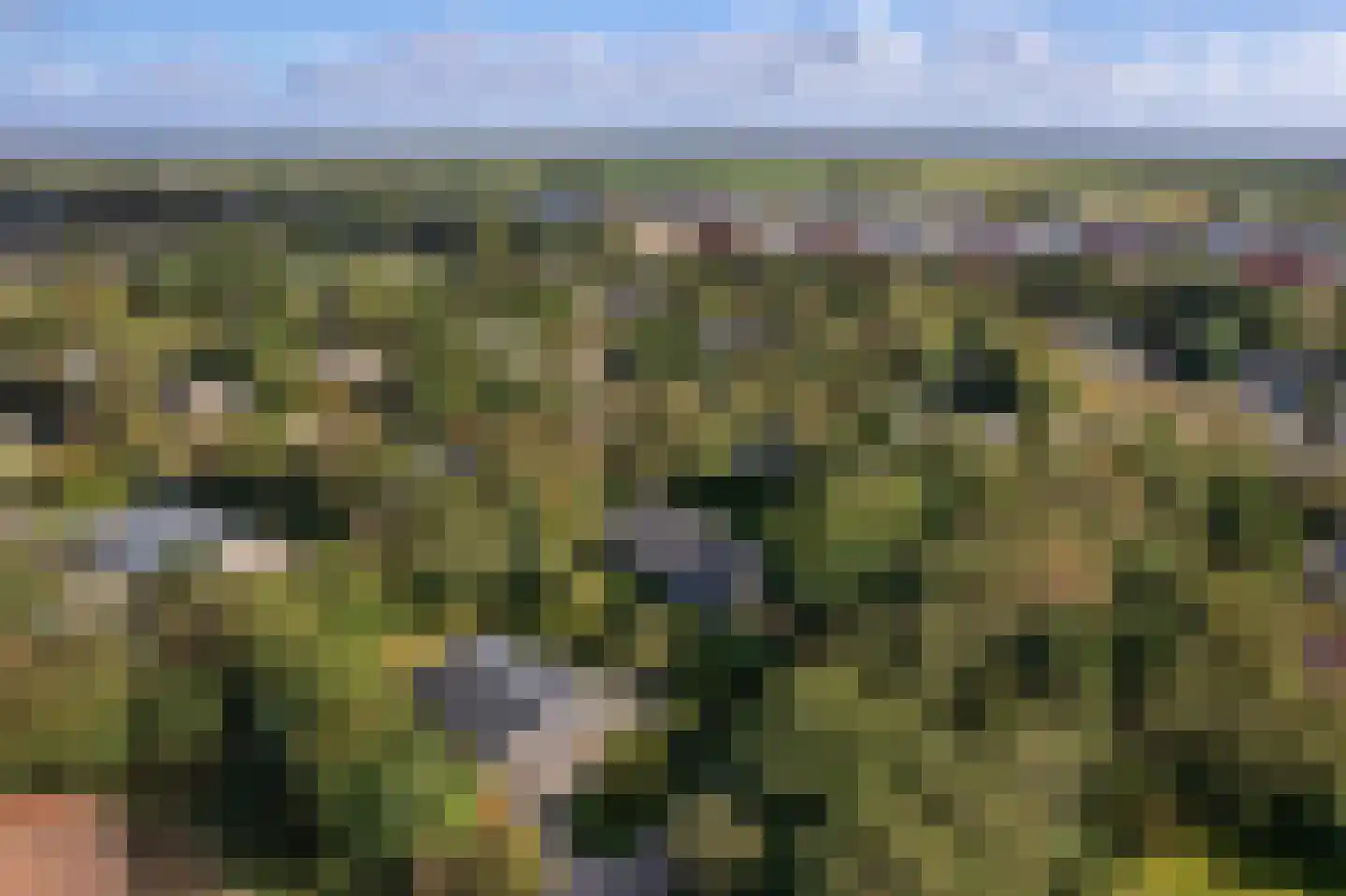 Gladde Duuntjes 37 Buren thumbnail 35