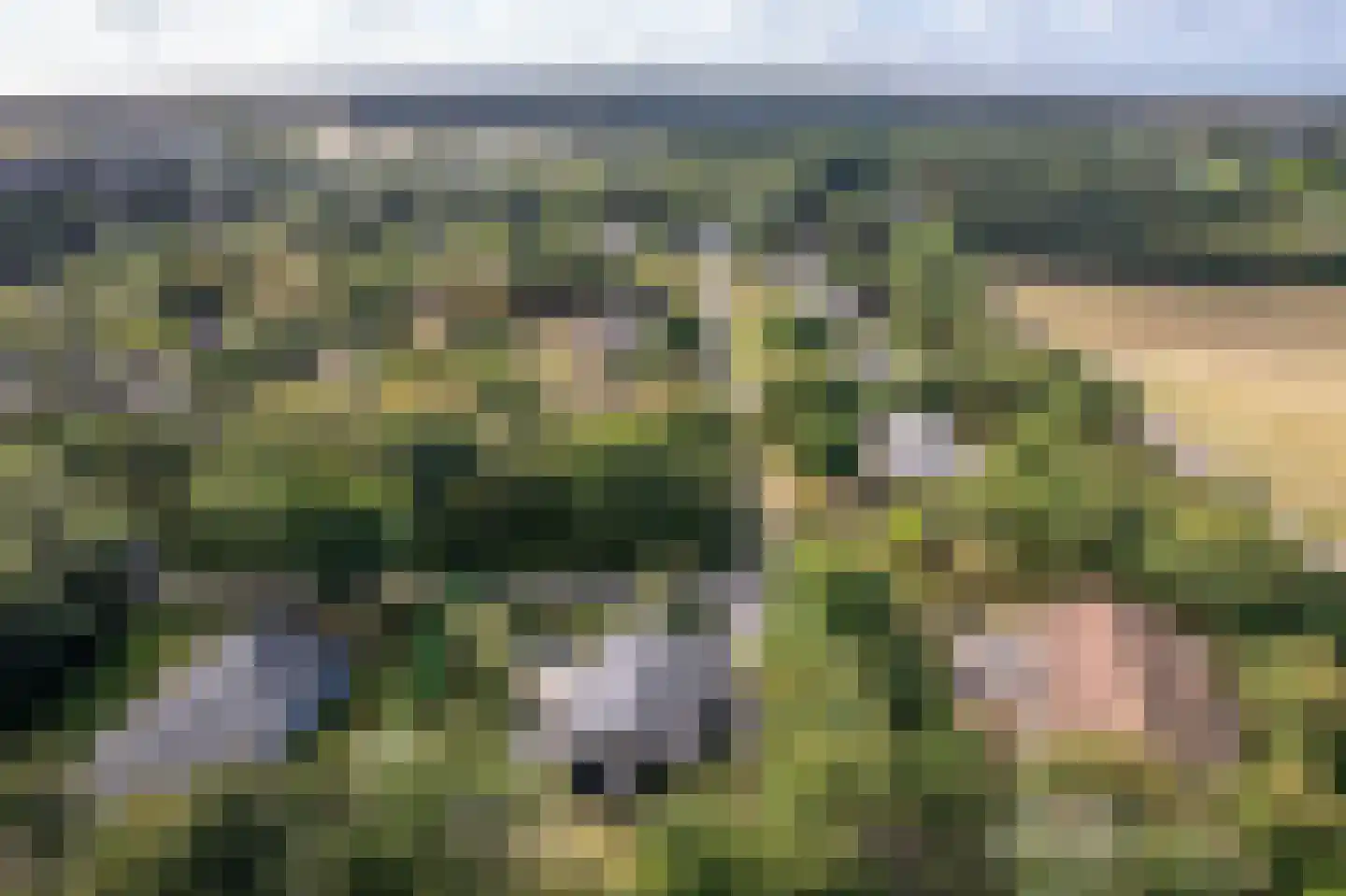 Gladde Duuntjes 37 Buren thumbnail 36
