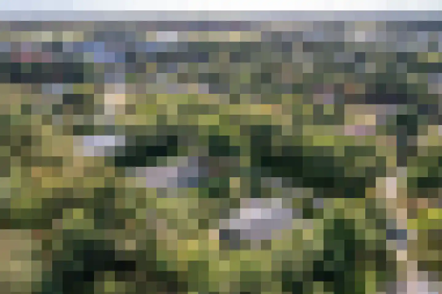 Gladde Duuntjes 37 Buren thumbnail 37
