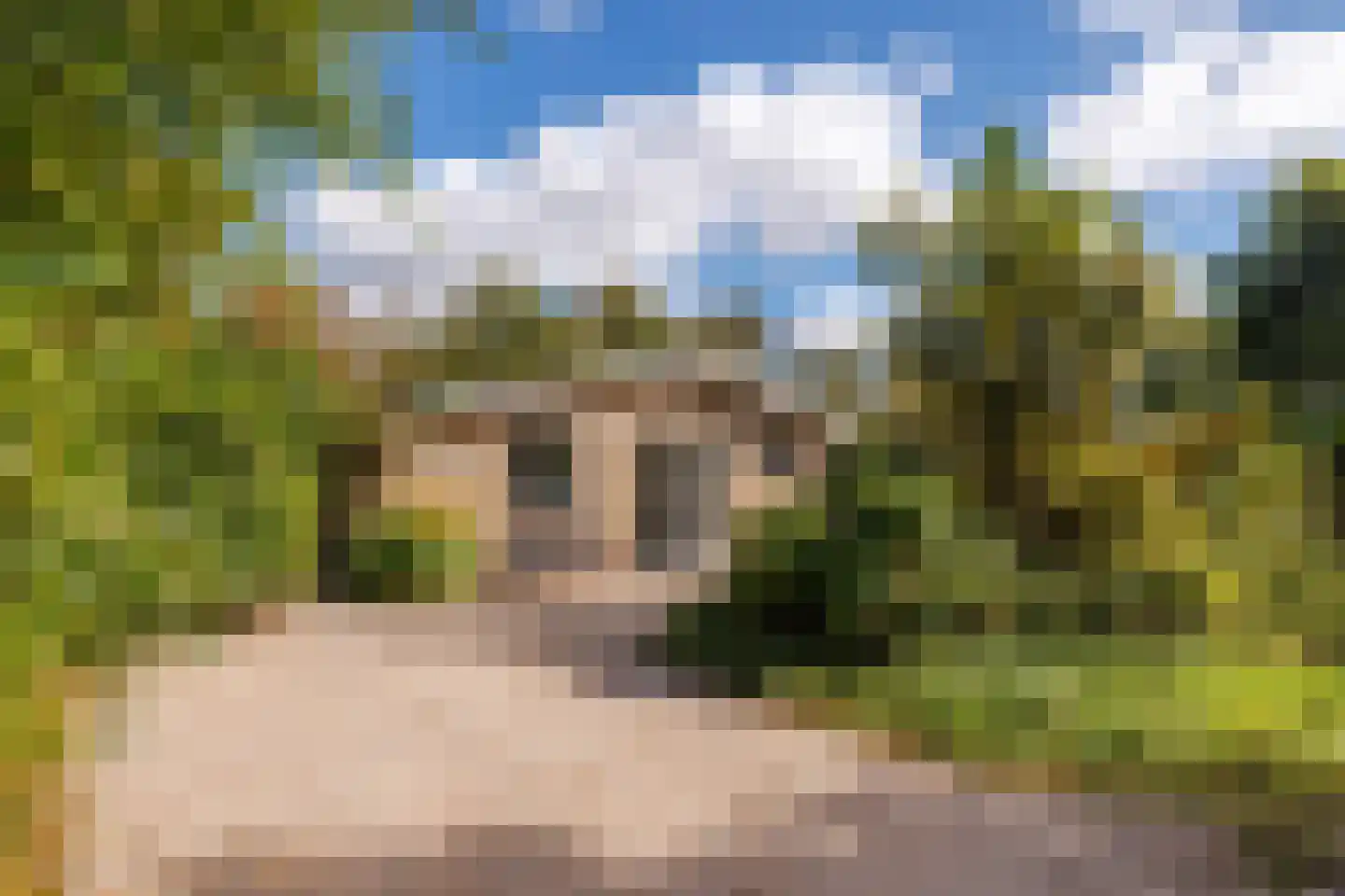 Gladde Duuntjes 37 Buren thumbnail 39