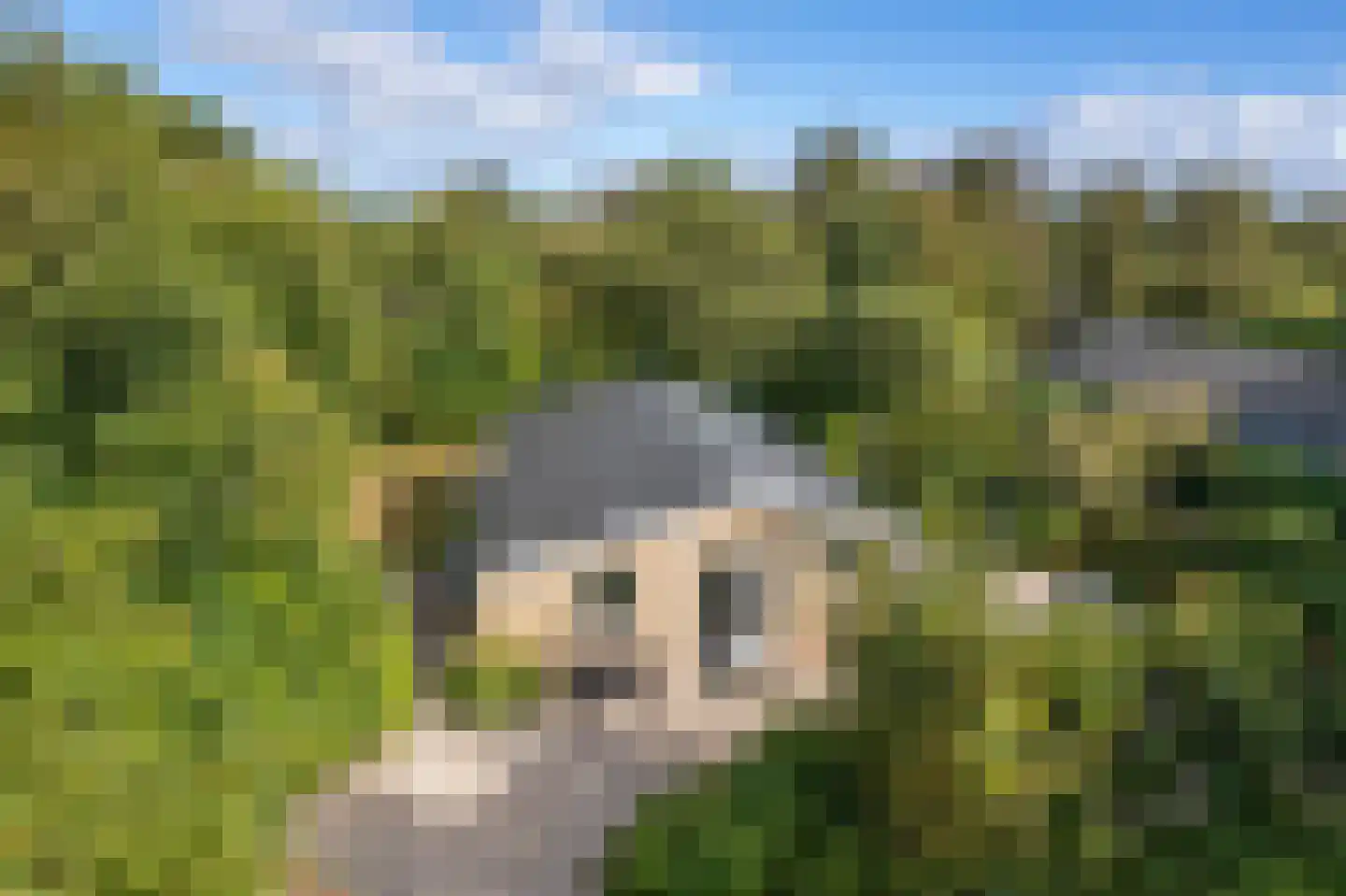 Gladde Duuntjes 37 Buren thumbnail 40