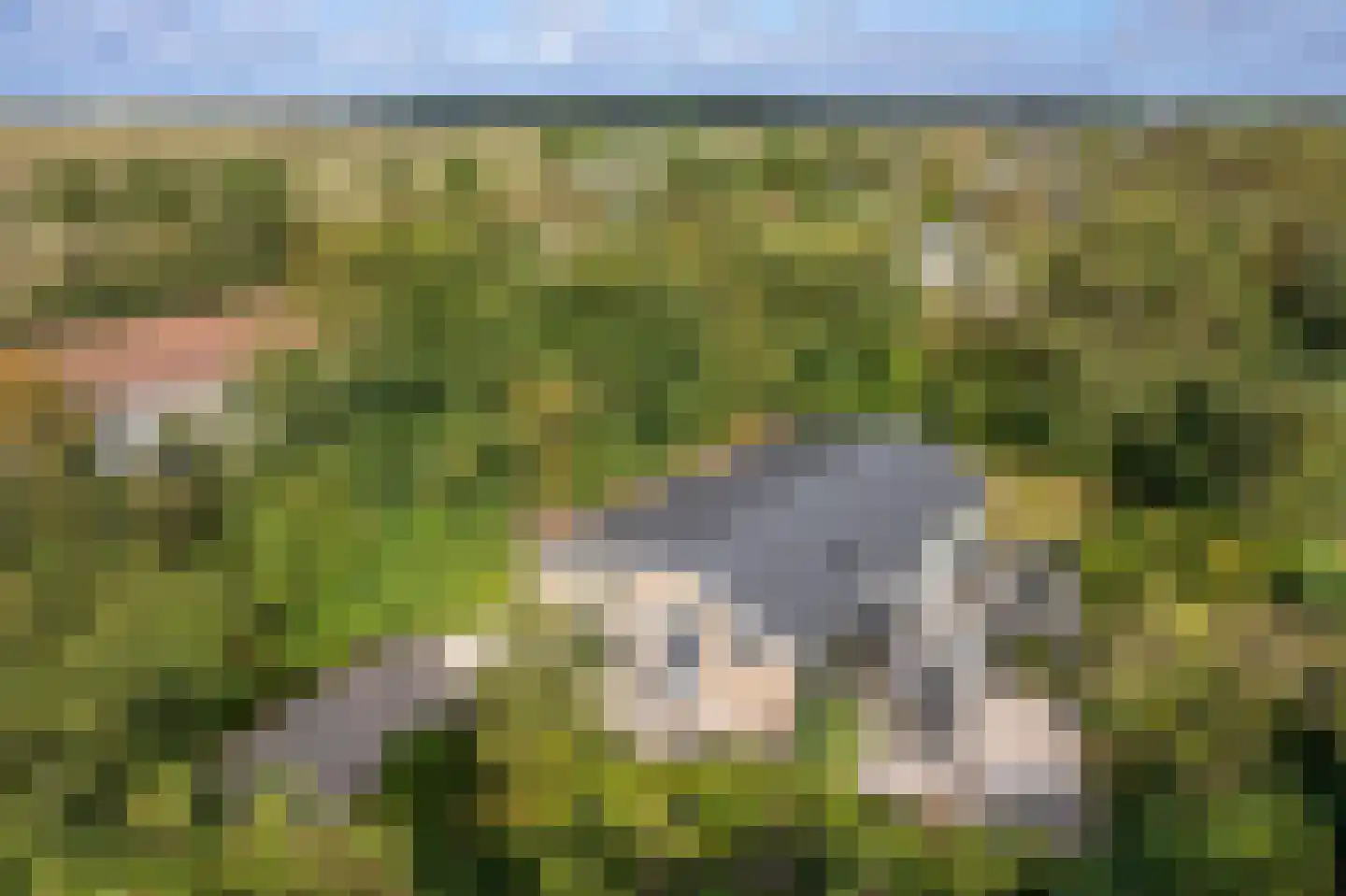 Gladde Duuntjes 37 Buren thumbnail 41