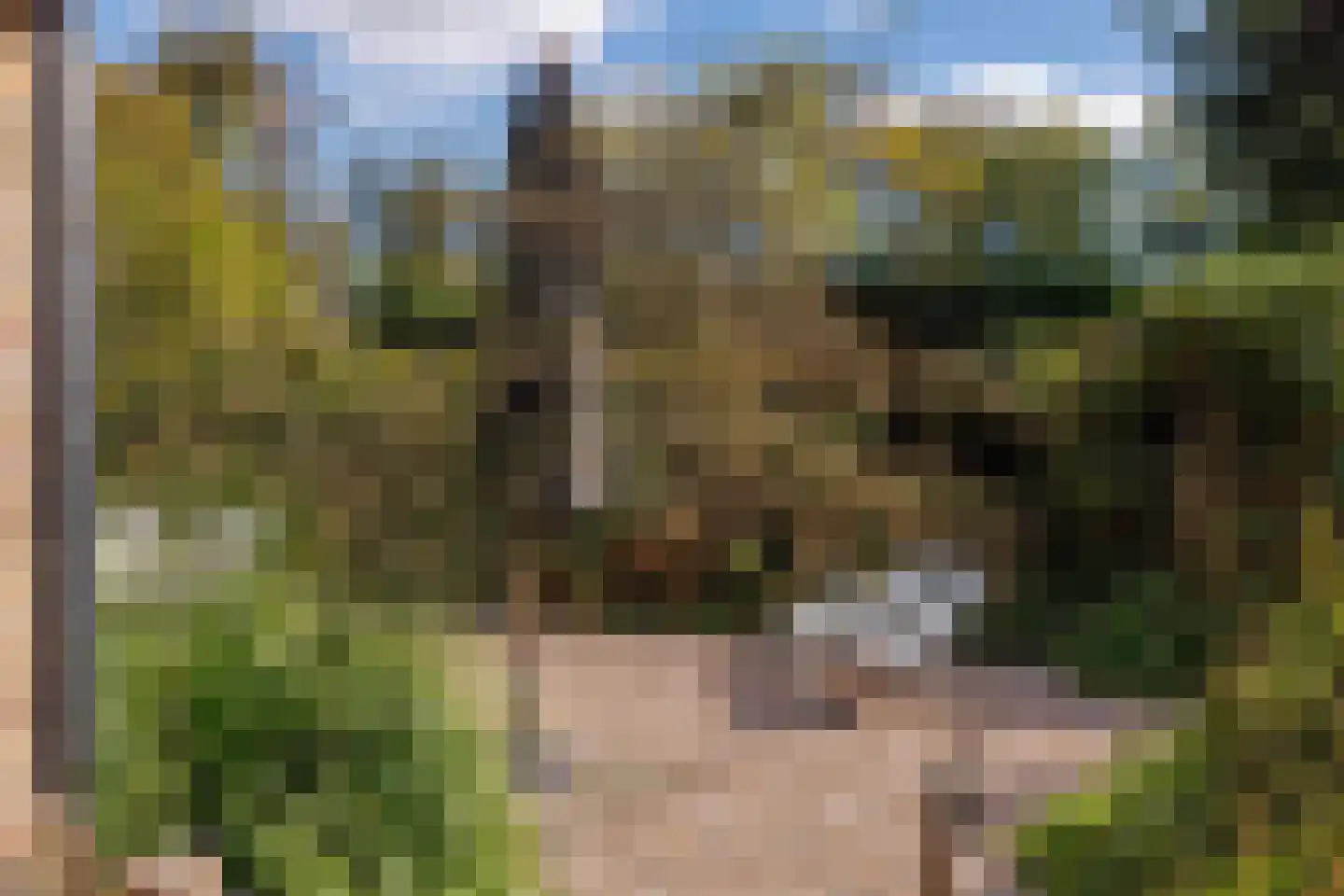 Gladde Duuntjes 37 Buren thumbnail 43