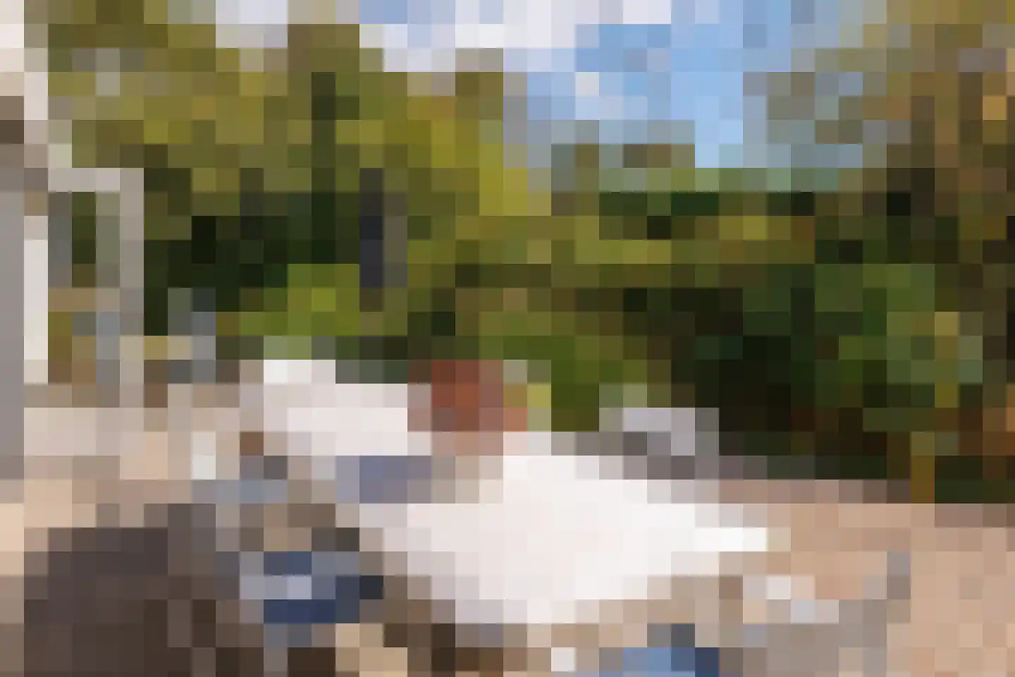 Gladde Duuntjes 37 Buren thumbnail 47