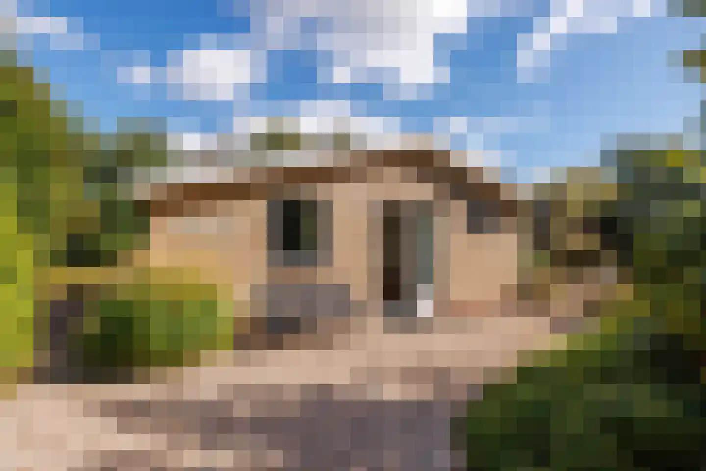 Gladde Duuntjes 37 Buren thumbnail 49