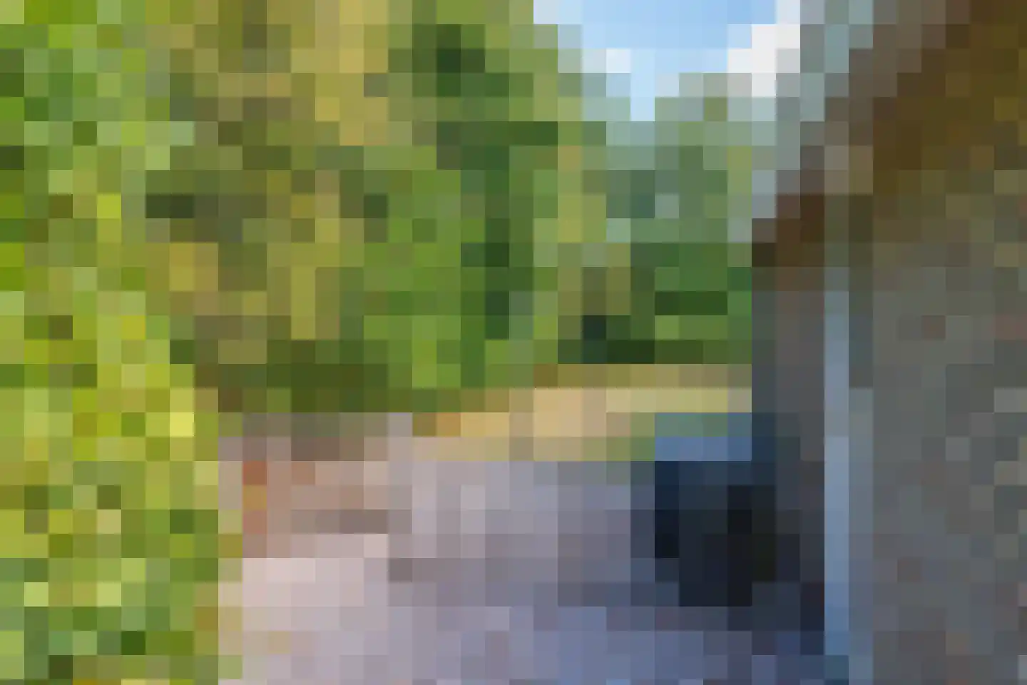Gladde Duuntjes 37 Buren thumbnail 50