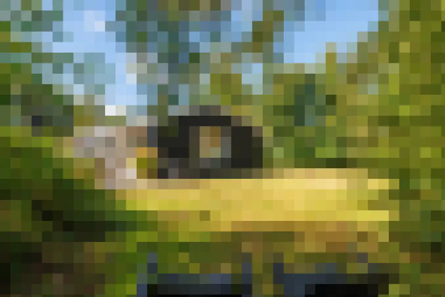 Gladde Duuntjes 37 Buren thumbnail 51