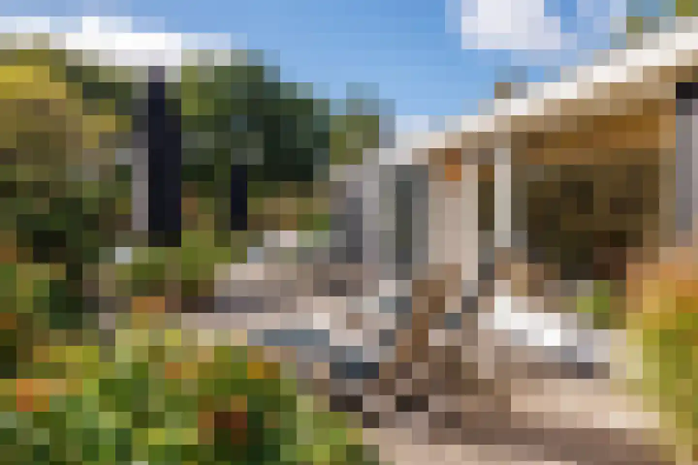Gladde Duuntjes 37 Buren thumbnail 52