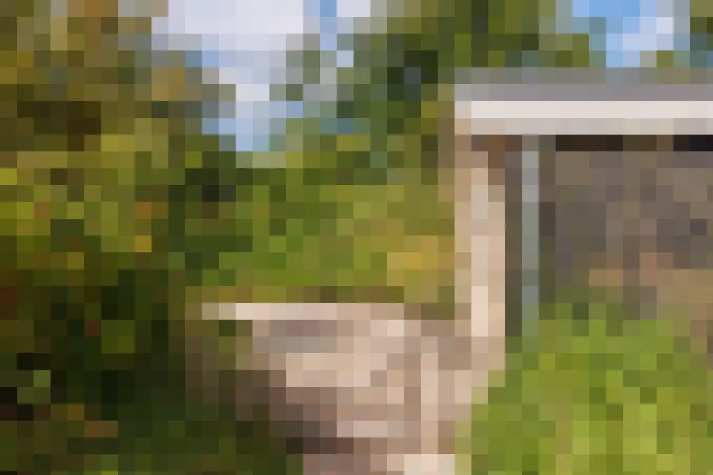 Gladde Duuntjes 37 Buren thumbnail 55