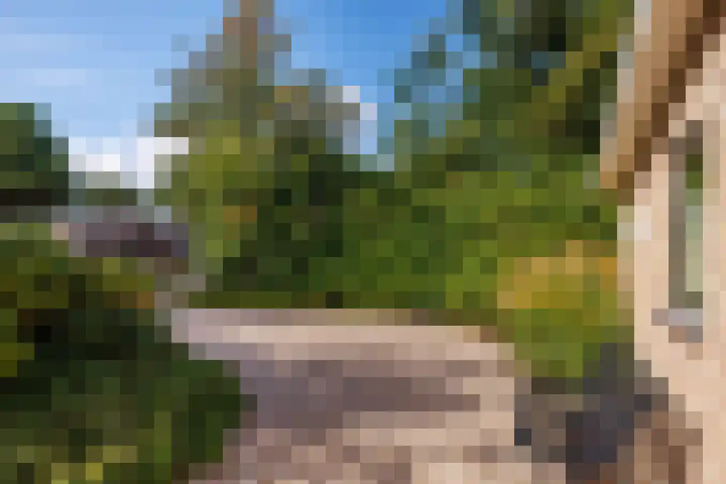 Gladde Duuntjes 37 Buren thumbnail 56