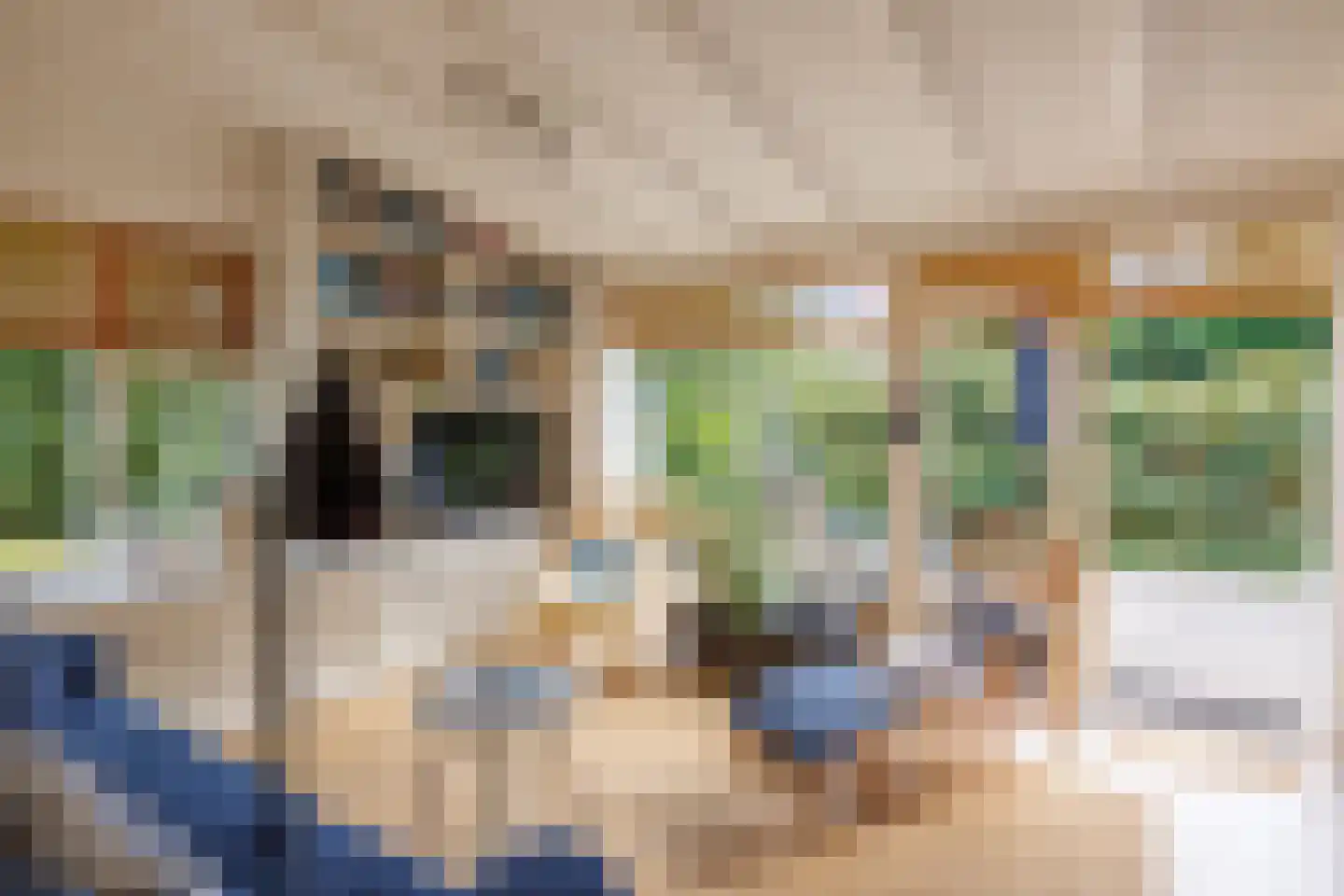 Gladde Duuntjes 37 Buren thumbnail 6