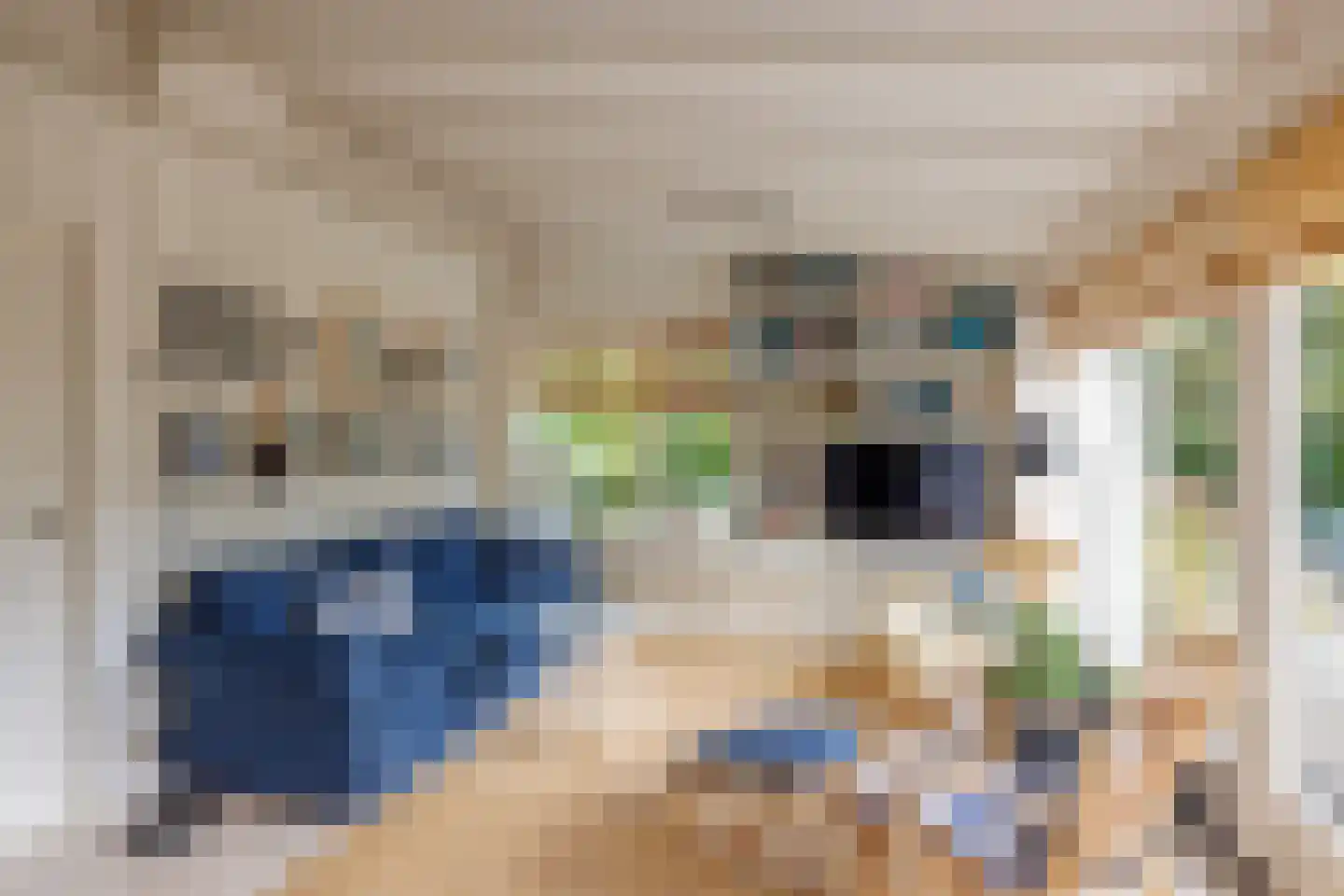 Gladde Duuntjes 37 Buren thumbnail 7