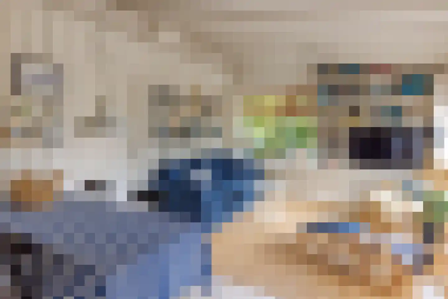 Gladde Duuntjes 37 Buren thumbnail 8