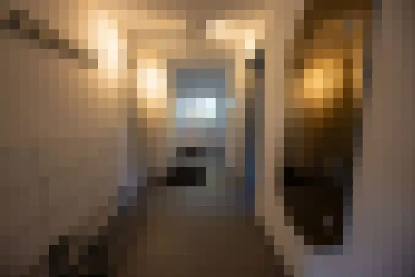 Gladde Duuntjes 39 Buren thumbnail 10