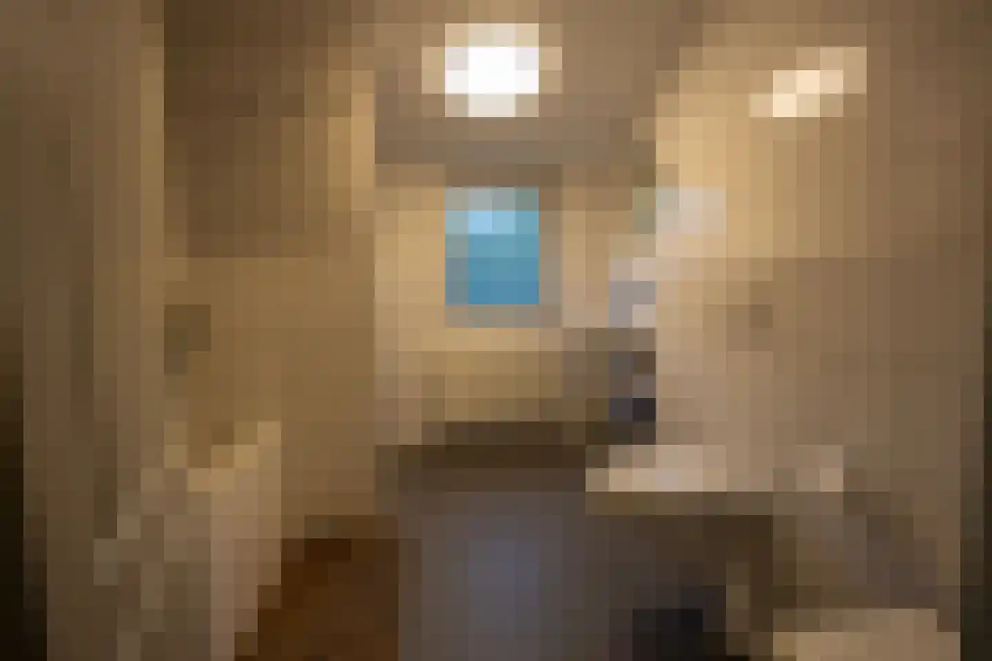 Gladde Duuntjes 39 Buren thumbnail 11