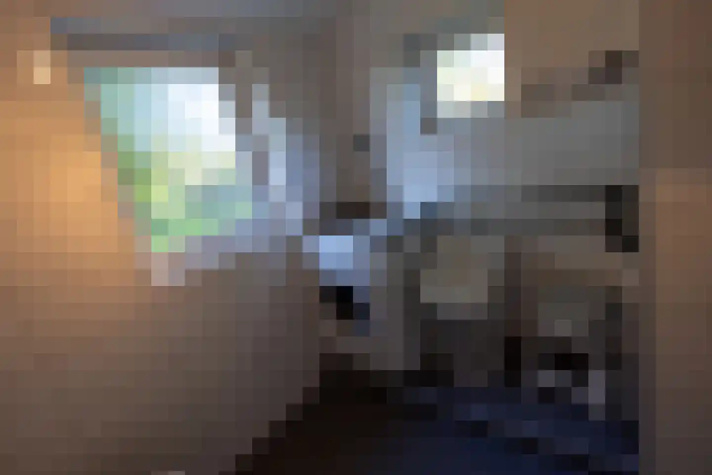 Gladde Duuntjes 39 Buren thumbnail 13