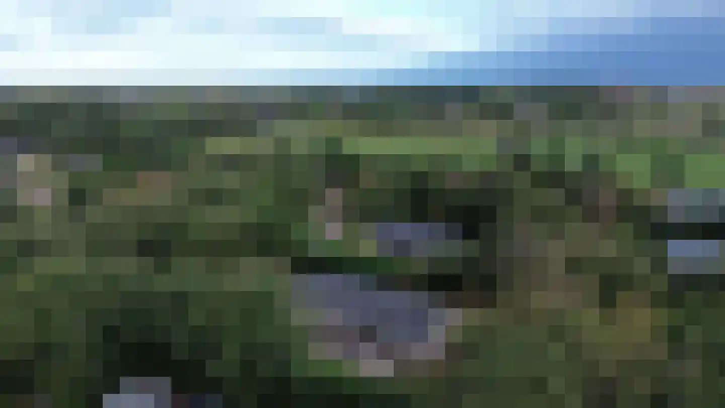 Gladde Duuntjes 39 Buren thumbnail 15