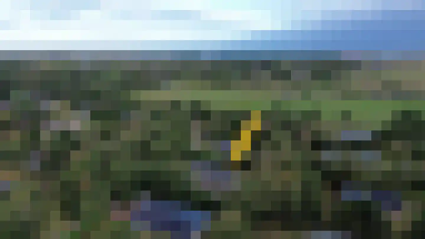 Gladde Duuntjes 39 Buren thumbnail 16