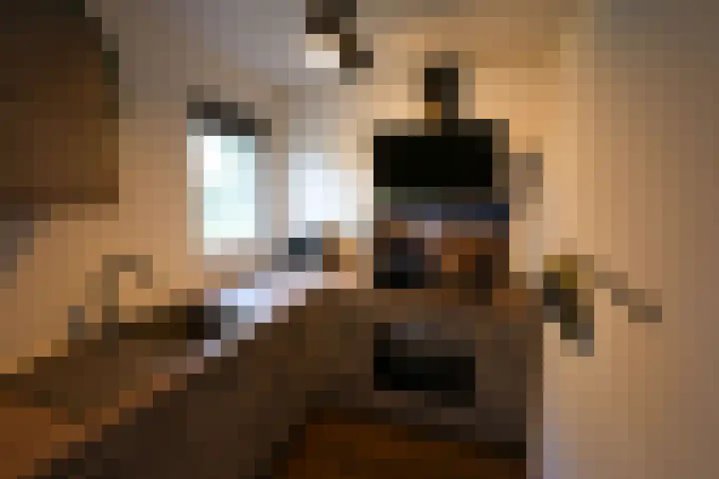 Gladde Duuntjes 39 Buren thumbnail 6