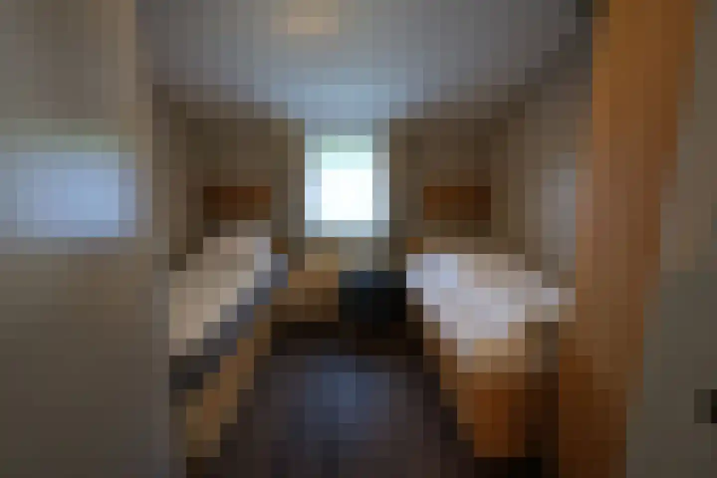 Gladde Duuntjes 39 Buren thumbnail 9