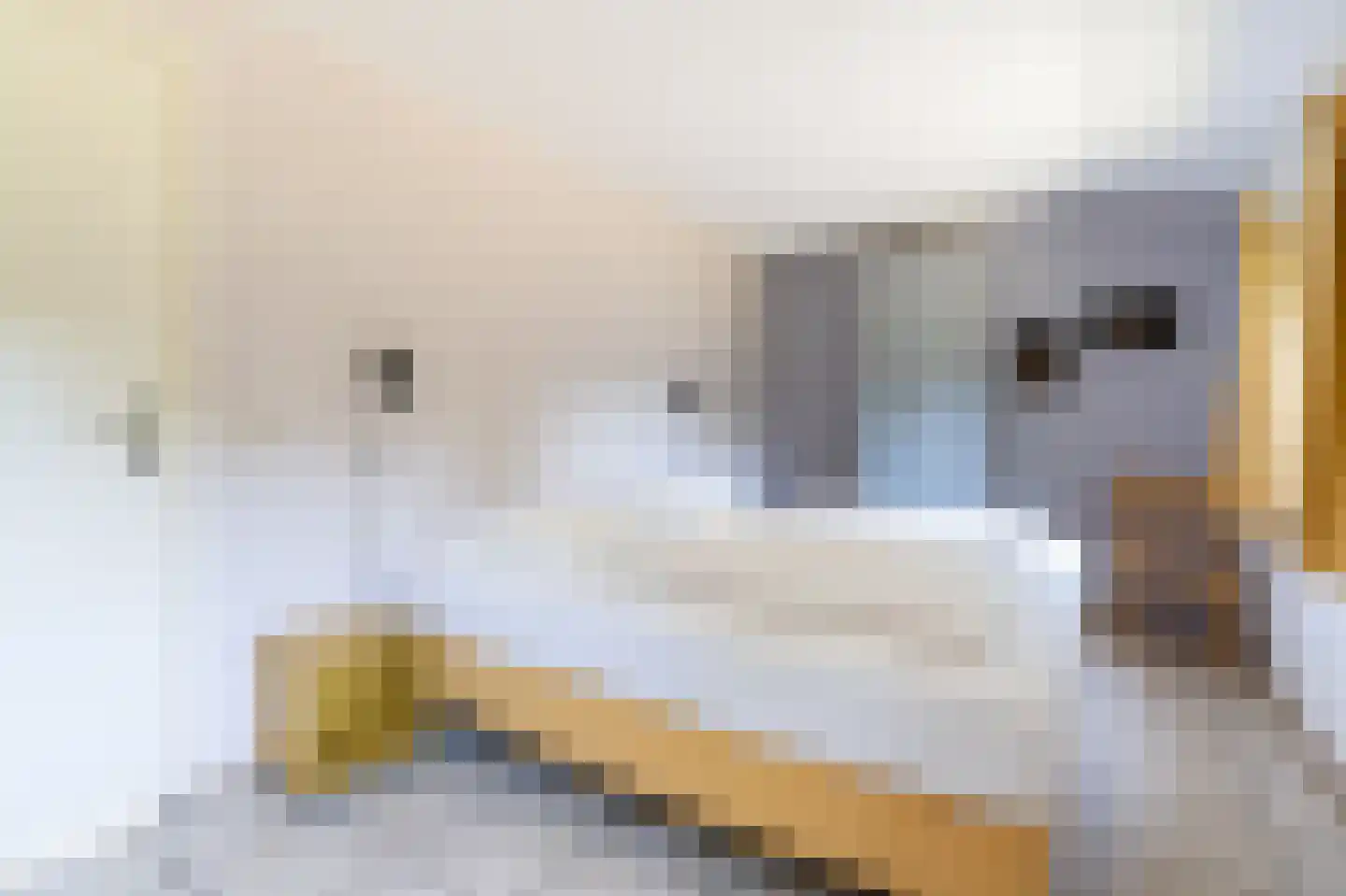 Gladde Duuntjes 4 Buren thumbnail 13