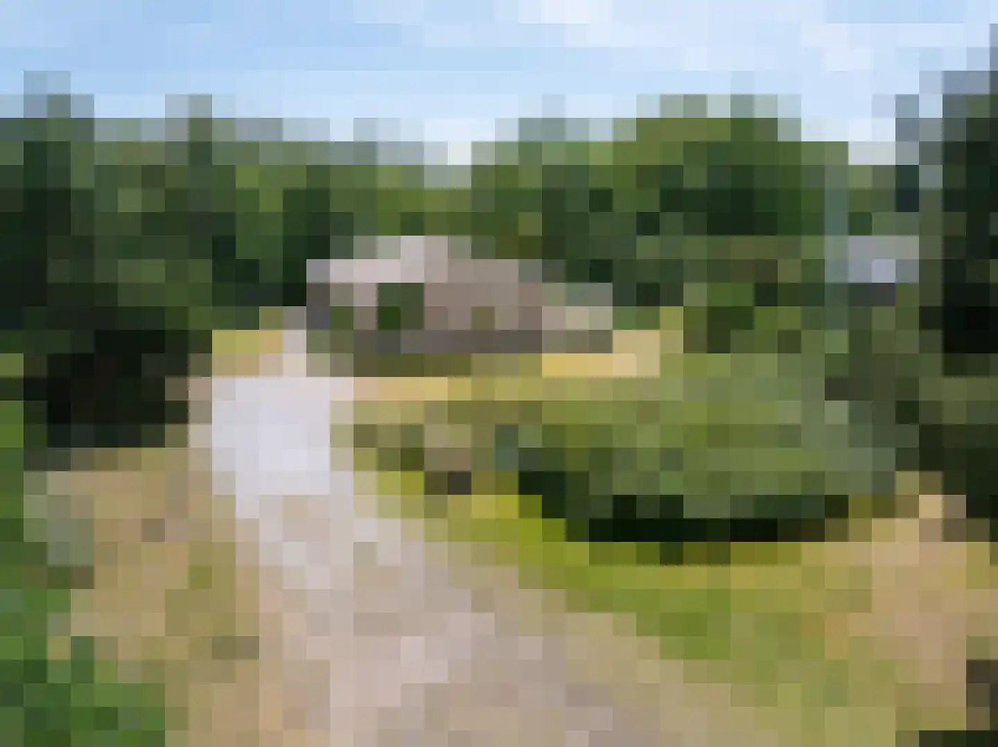Gladde Duuntjes 4 Buren foto 2