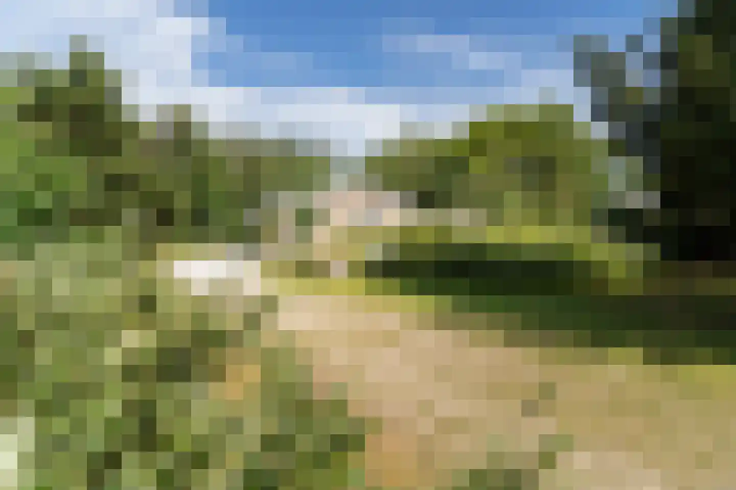 Gladde Duuntjes 4 Buren thumbnail 22