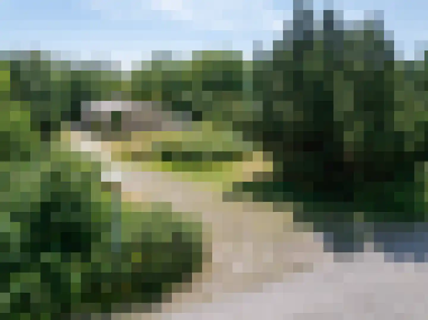 Gladde Duuntjes 4 Buren thumbnail 23