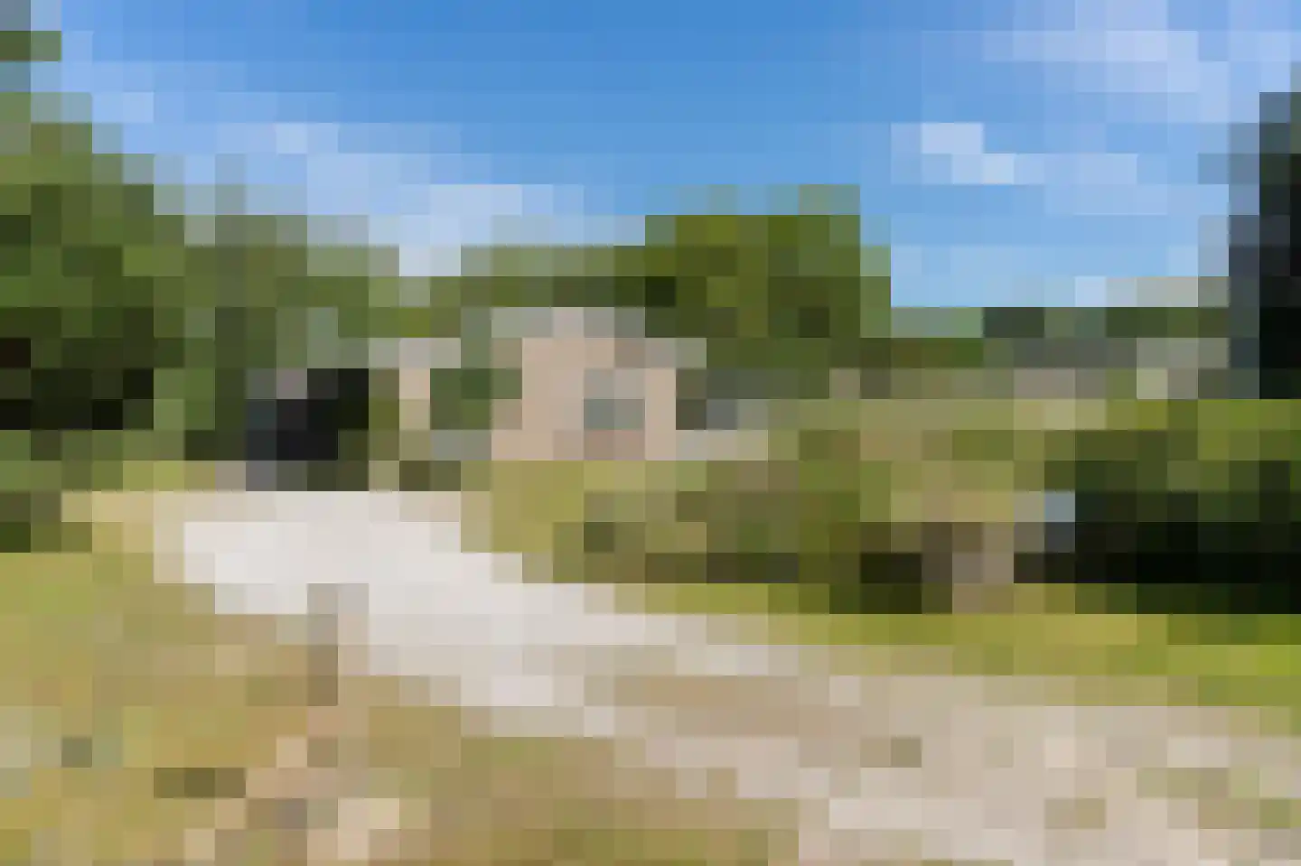 Gladde Duuntjes 4 Buren thumbnail 24