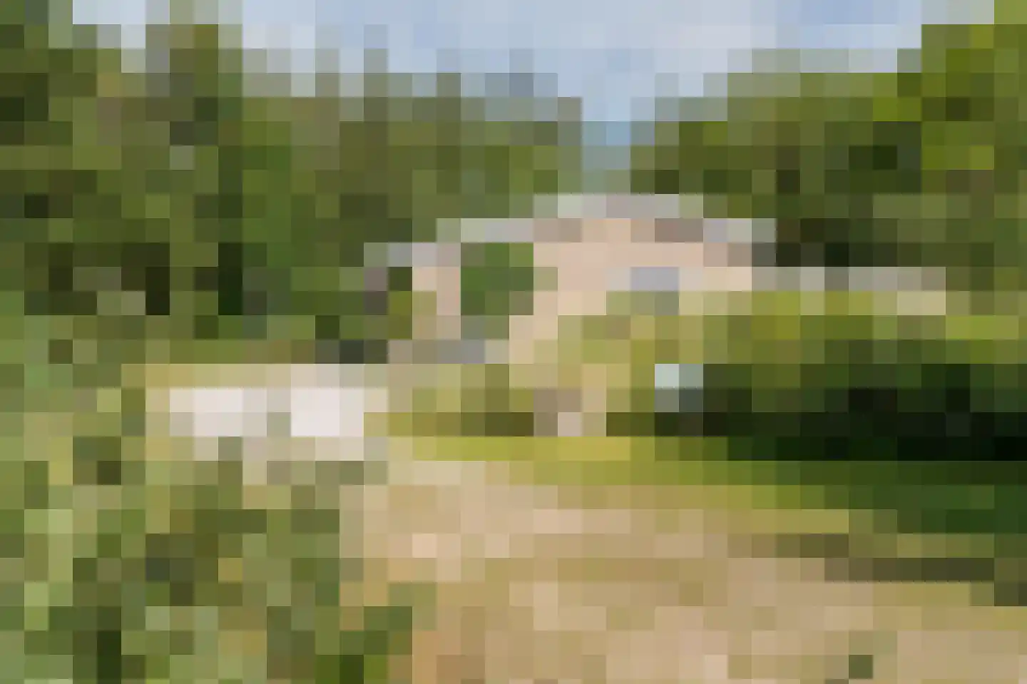 Gladde Duuntjes 4 Buren thumbnail 27